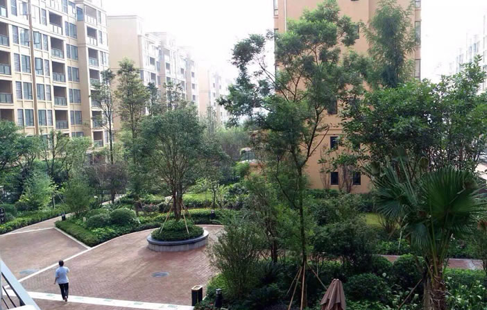 彩神vll官网(中国)首页大厅